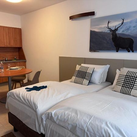 Base Camp Alpine Apartments เบรยล์-แชร์วิเนีย ห้อง รูปภาพ
